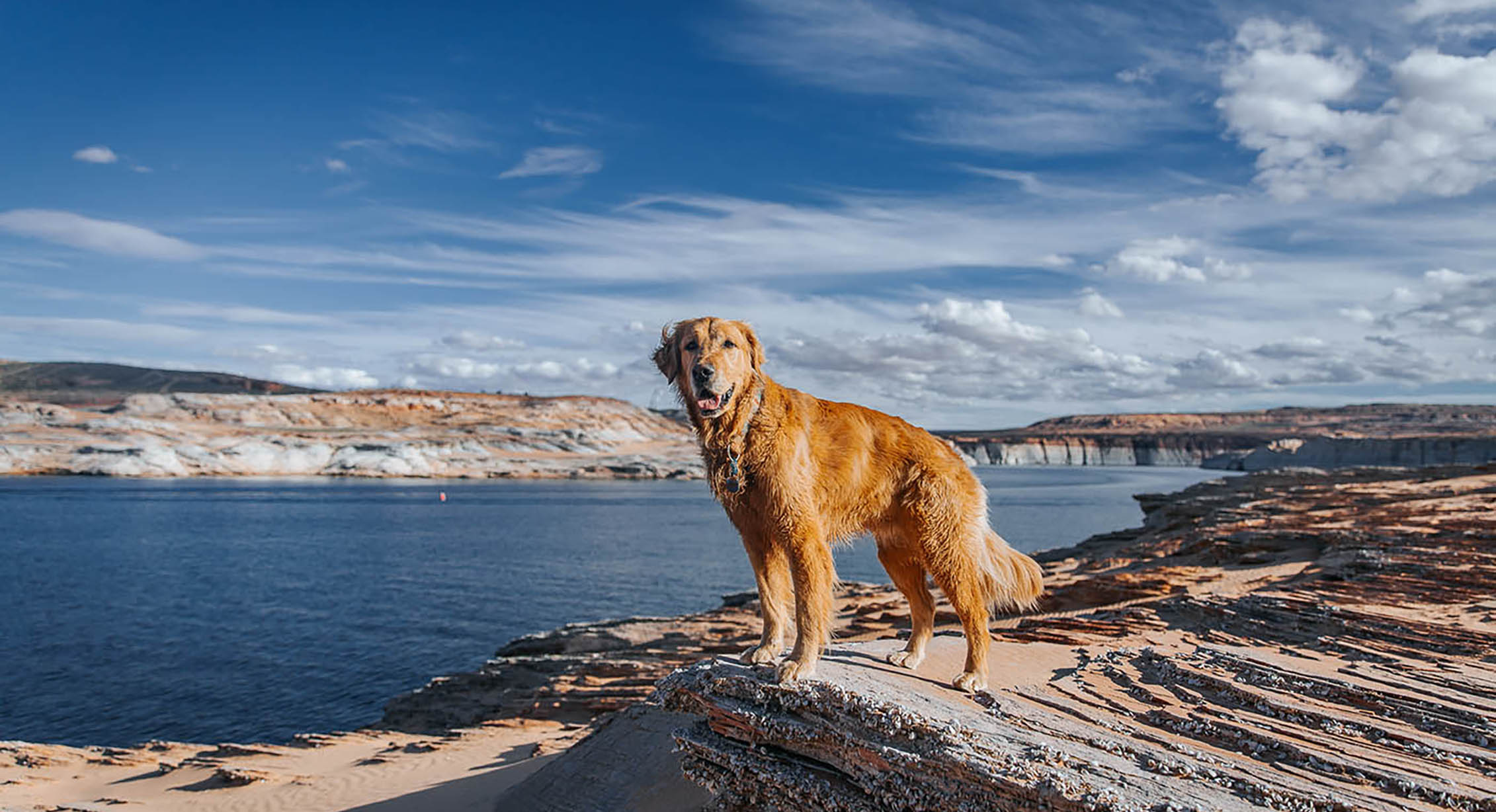 Hiking in Antelope Canyon with dogs