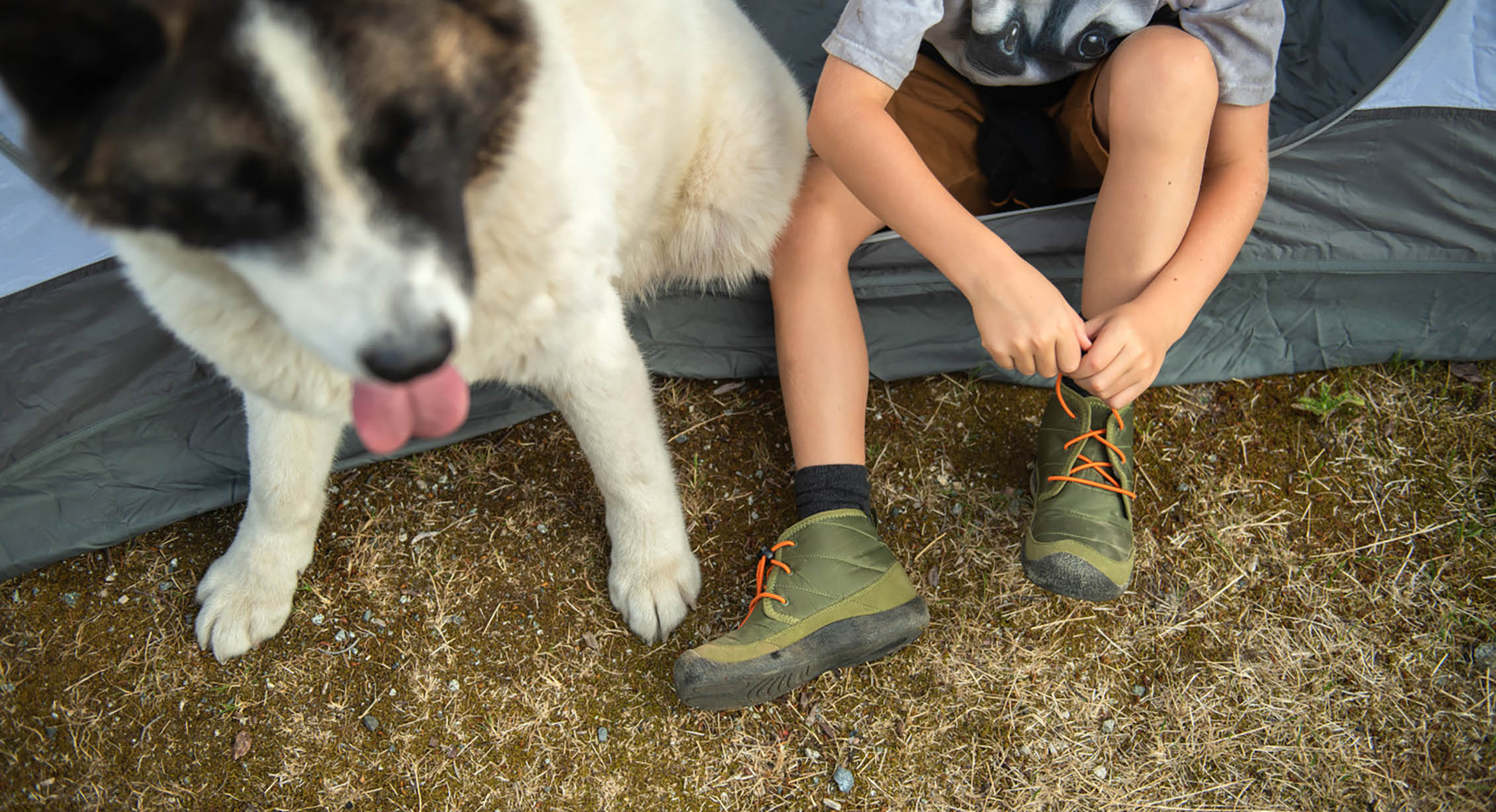 A dog and a child getting ready to leave their tent