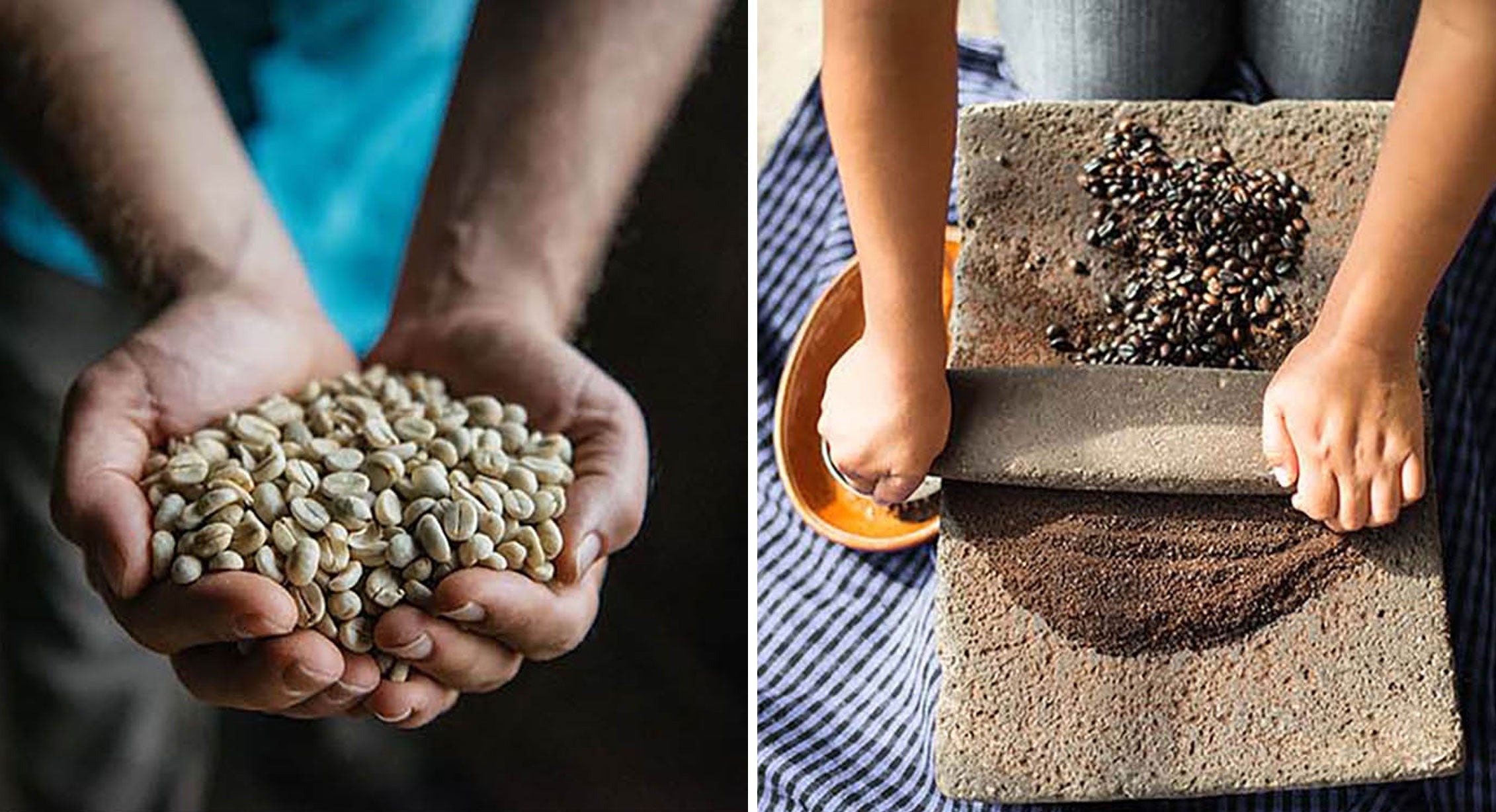 Harvested coffee beans being ground by hand