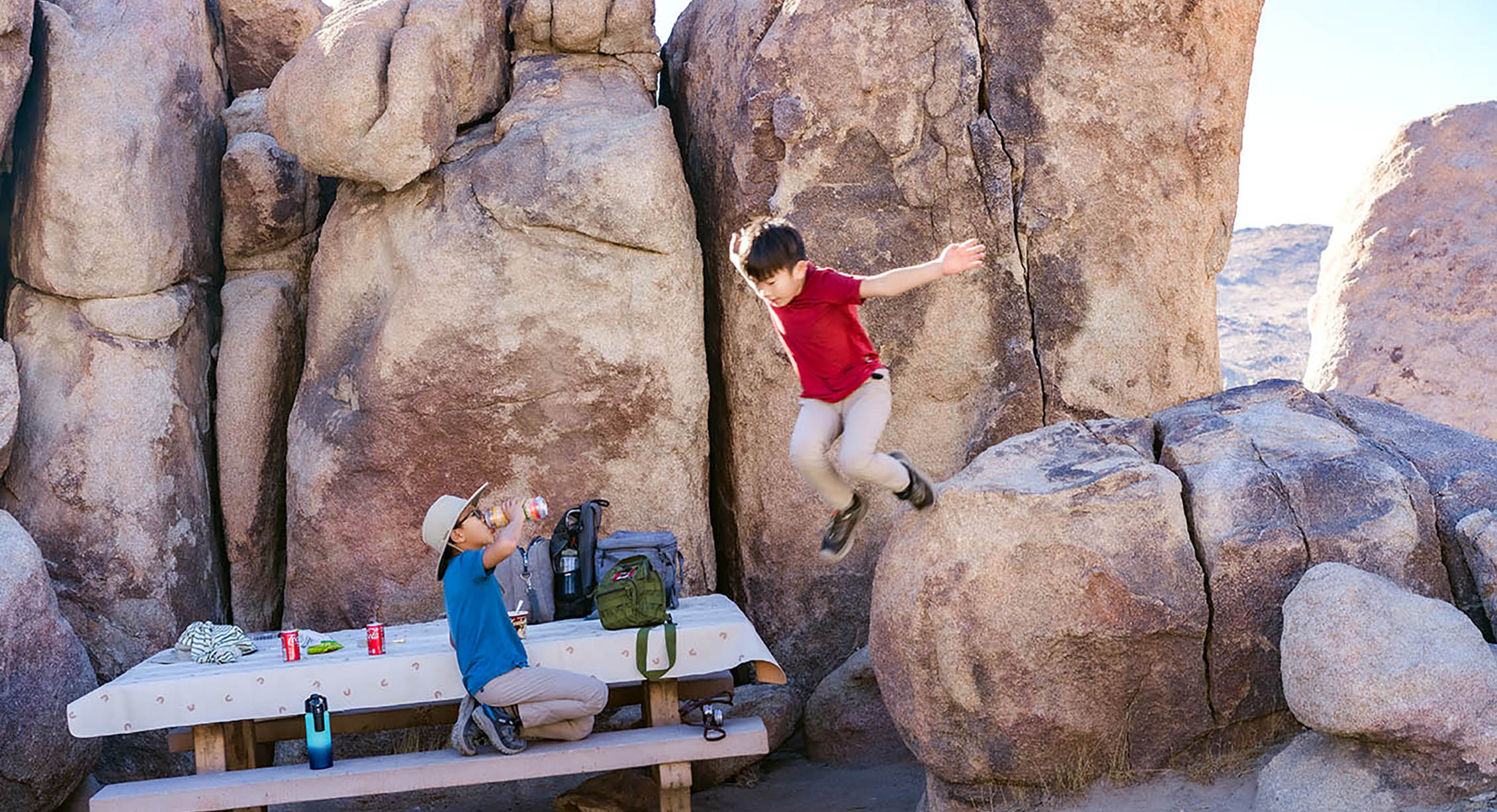 Picnic in Joshua Tree