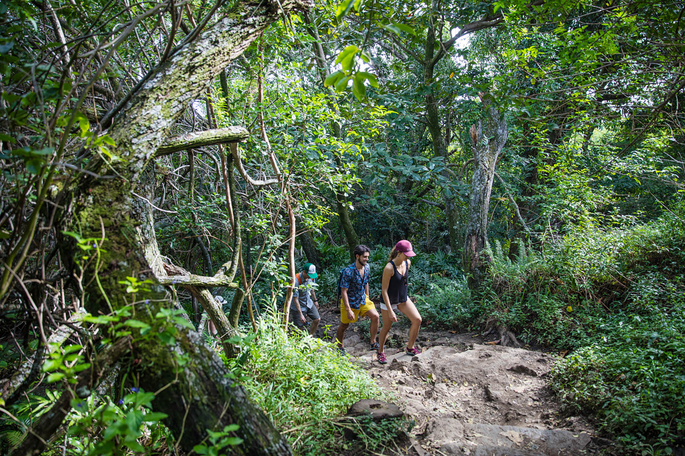 Friends hiking in Maui