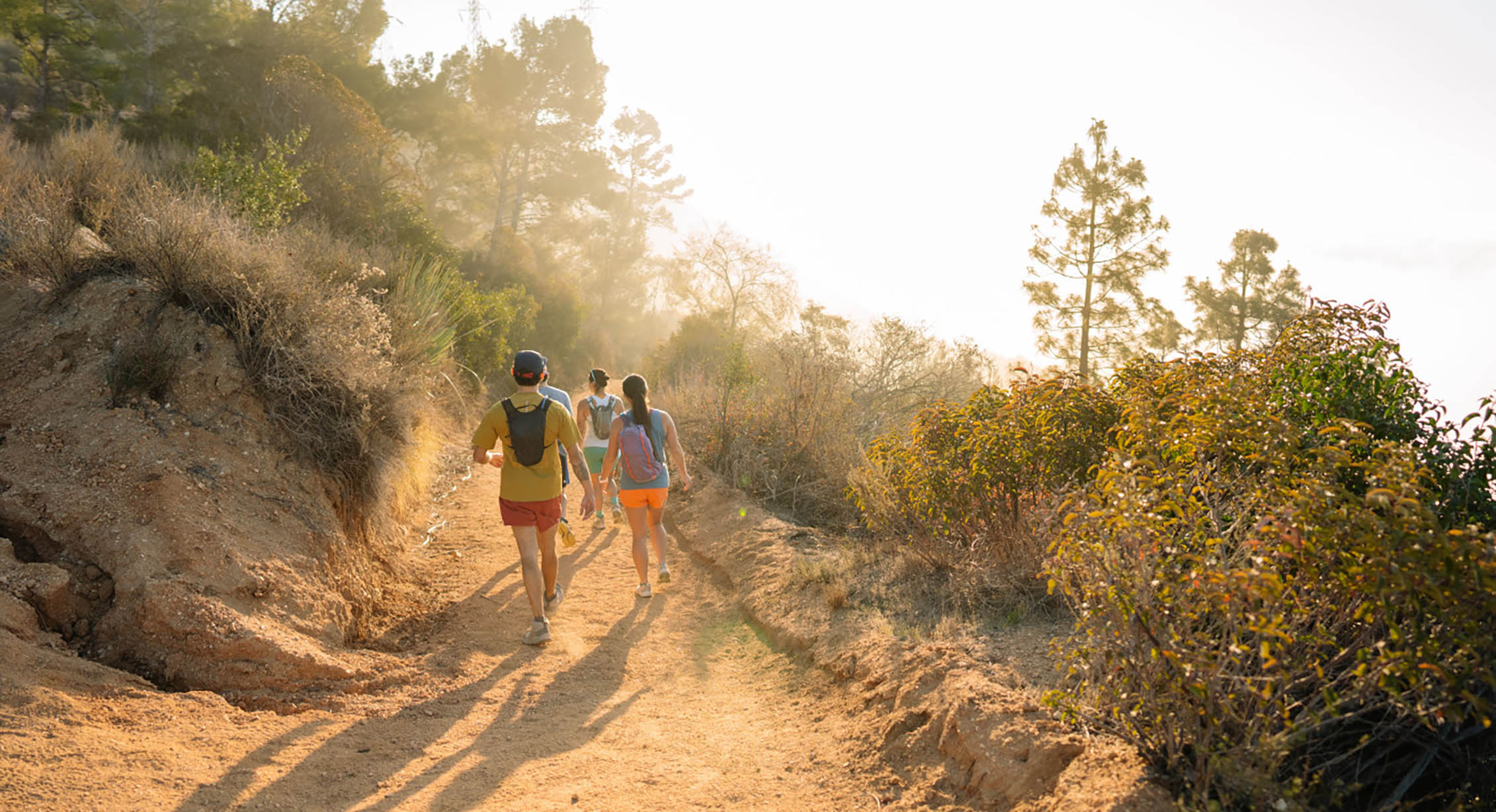 Hiking with friends