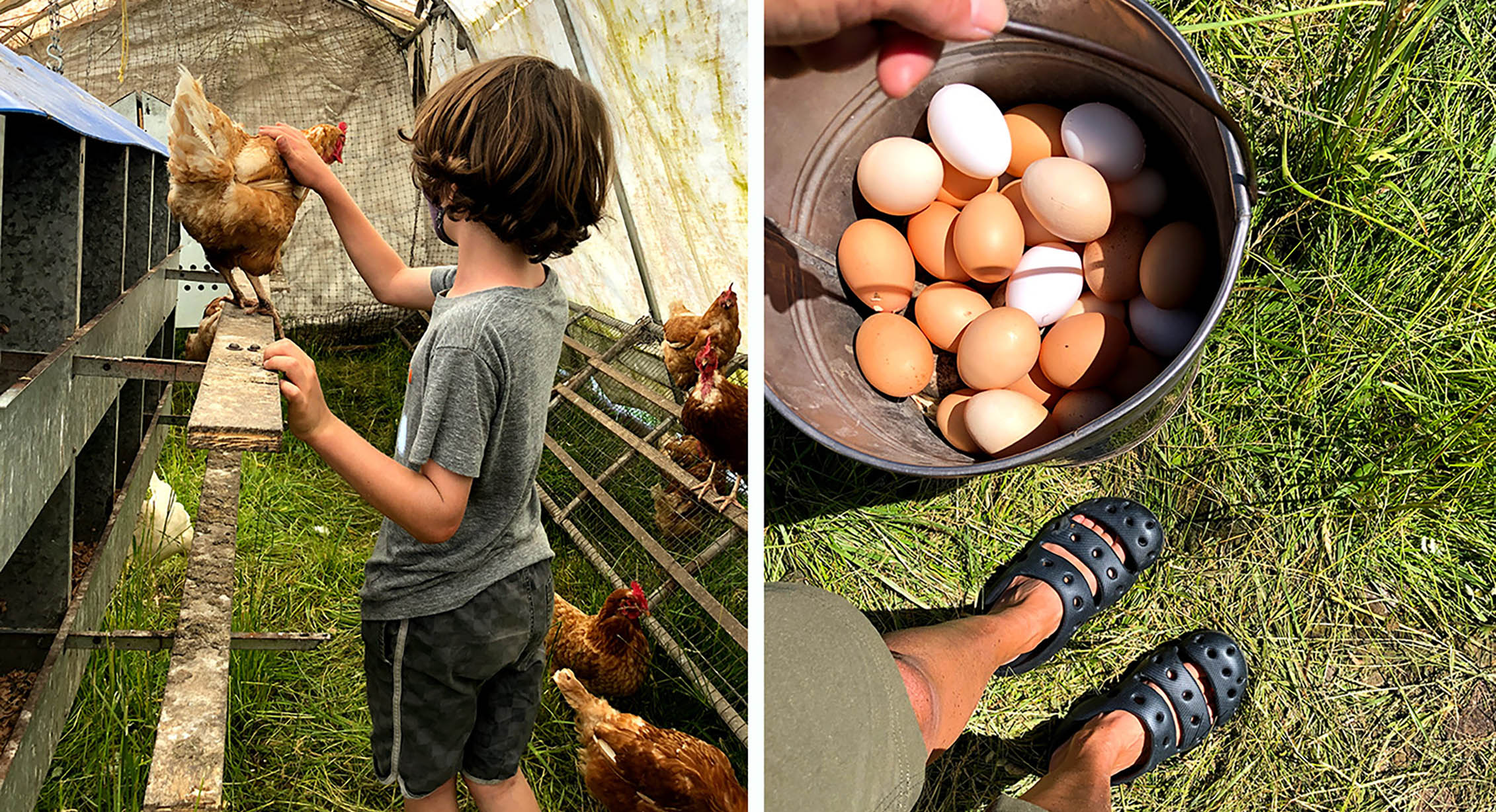 WWOOFing with kids in Oregon.