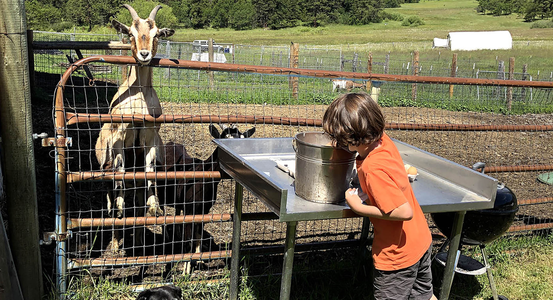 WWOOFing with kids in Oregon.