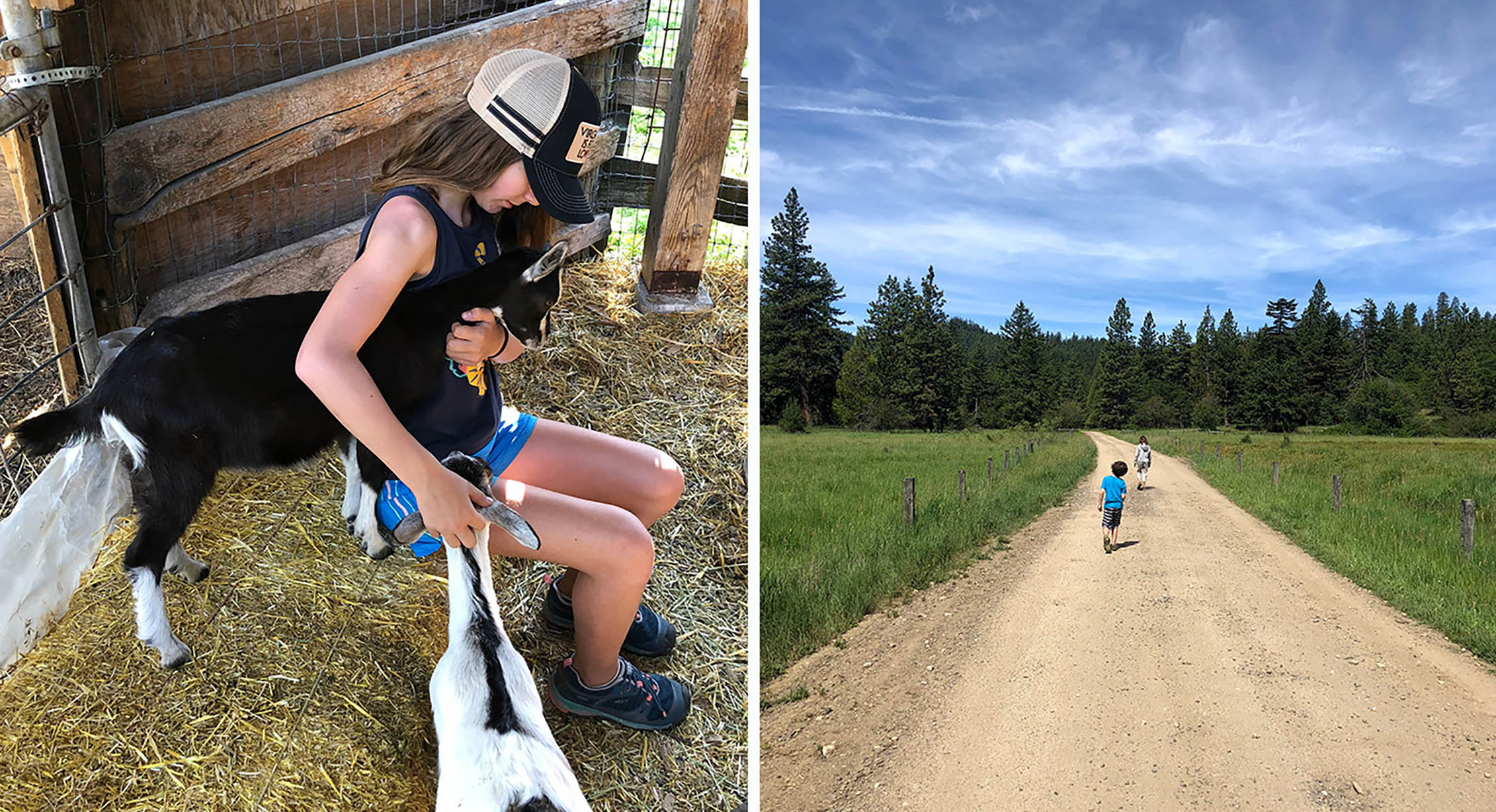 Camping on a farm with kids.